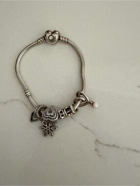 Pandora Bracelet with all charms